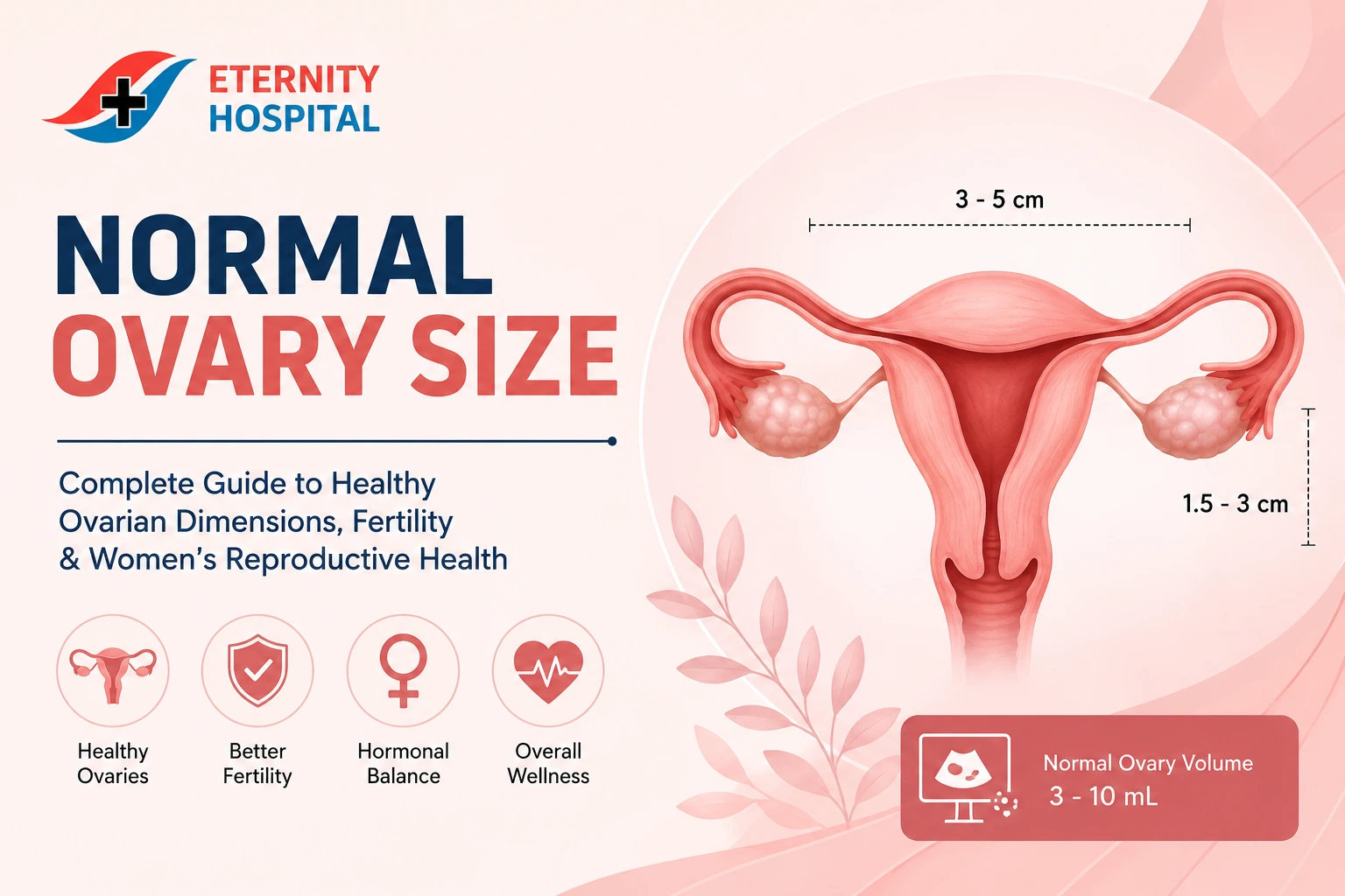 Normal Ovary Size: Complete Guide to Healthy Ovarian Dimensions, Fertility & Women’s Reproductive Health