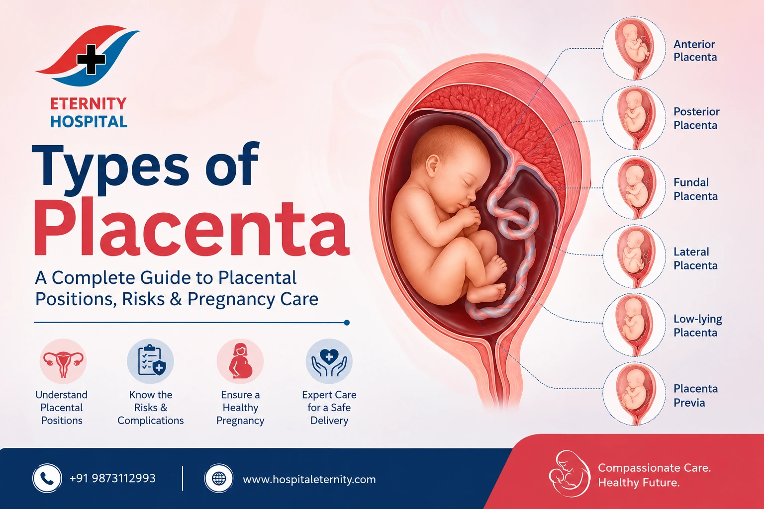 Types of Placenta: Complete Guide to Placental Positions, Functions, Risks, and Pregnancy Care