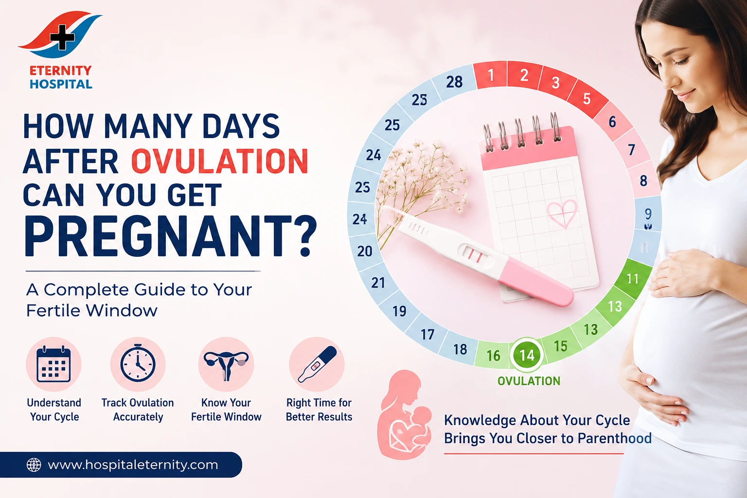 How Many Days After Ovulation Can You Get Pregnant?